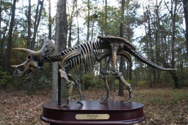 maquetas de dinosaurio a escala 1/20 esqueletos y cabezas .