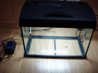 vendo acuario con peces - mejor precio | unprecio.es