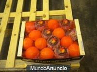 Naranjas Nabel