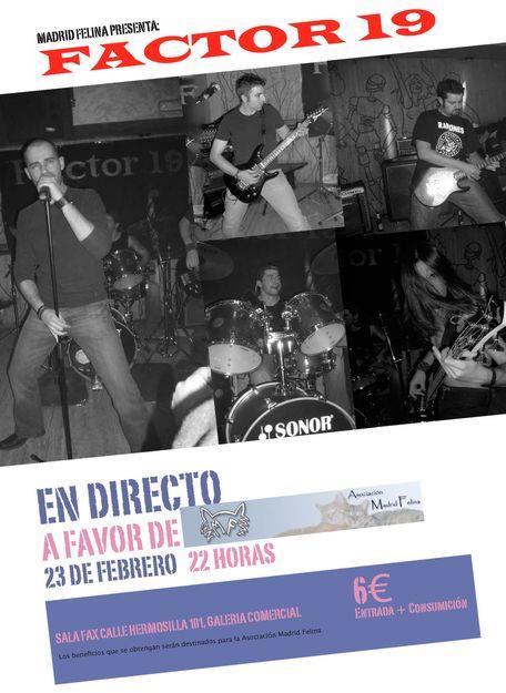 Concierto Musica Pop a favor de Madrid Felina