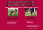 cachorros pastor aleman CPR ppa - mejor precio | unprecio.es