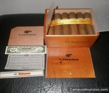 VENDO COHIBA ROBUSTOS Y SIGLO VI