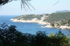 Apartamento en villa : 2/4 personas - hyeres var provenza-alpes-costa azul francia - mejor precio | unprecio.es