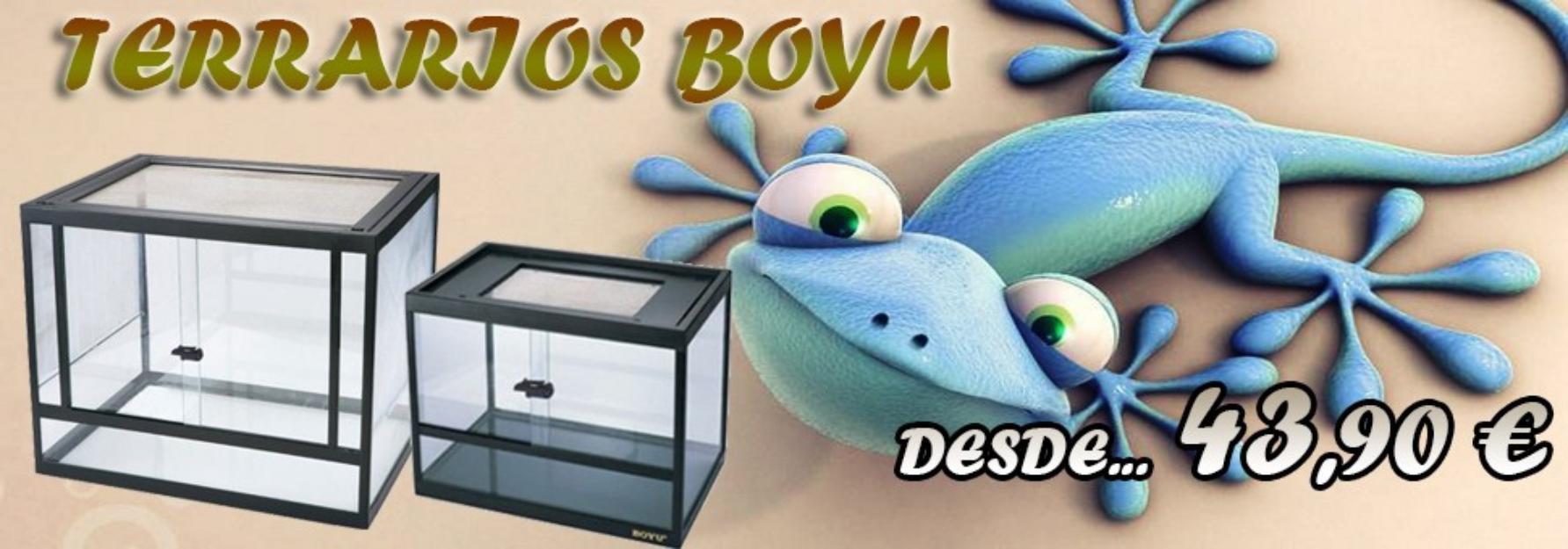 Terrarios Boyu - Promoción