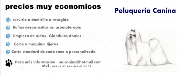 Peluqueria canina muy economica