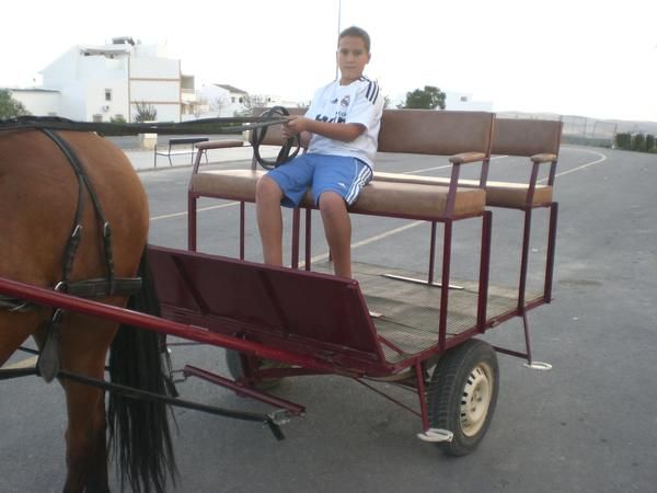 charre de caballos, coche de caballos, caballos