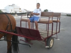 charre de caballos, coche de caballos, caballos - mejor precio | unprecio.es