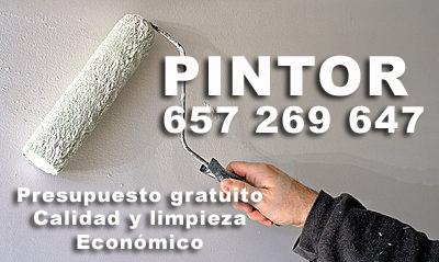 Pintor muy economico y profesional