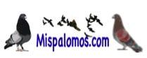 Venta de palomos deportivos y palomas mensajeras. Todo tipo de accesorios para Colombicult