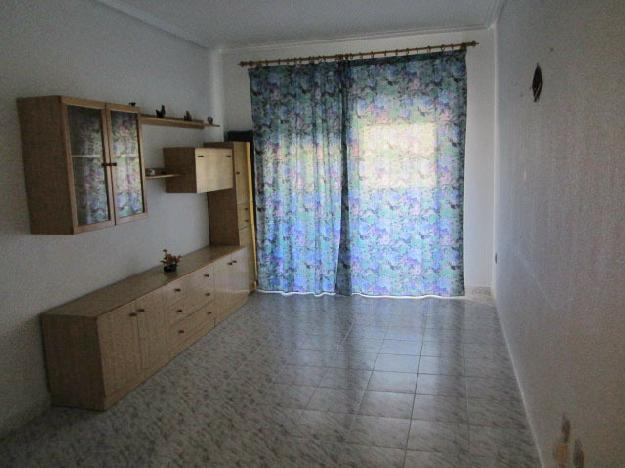 Estudio en Torrevieja