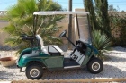 Golf Buggy - mejor precio | unprecio.es