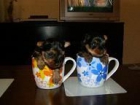 LOS DOS ULTIMOS CACHORROS DE YORKSHIRE MINI A 450e - mejor precio | unprecio.es