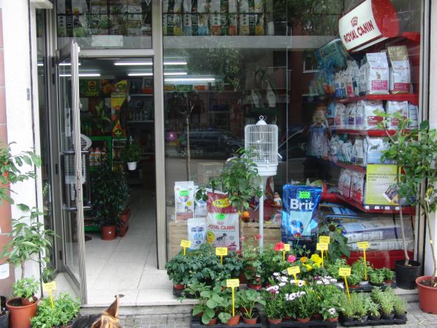 Traspaso tienda alimentacion animales