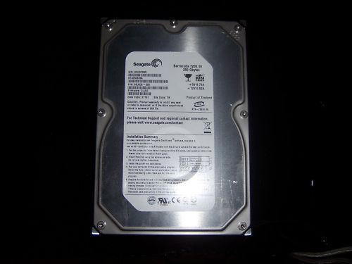 Seagate Barracuda 250GB Disco Duro IDE /ATA 100