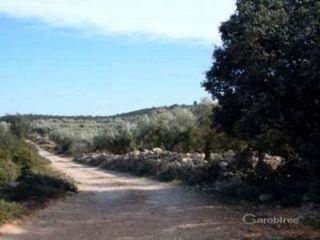 Terreno/Finca Rstica en venta en Canet lo Roig, Castellón (Costa Azahar)