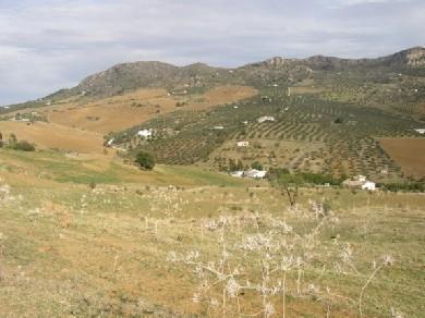 Terreno se vende en Alora