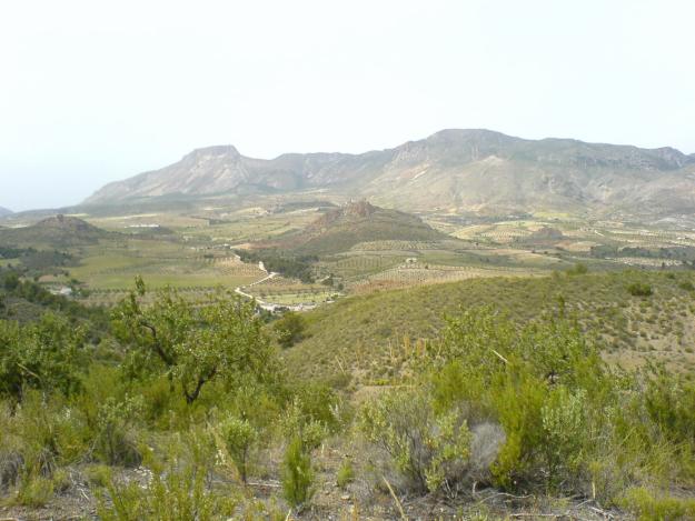 FINCA RUSTICA LORCA 32.000 m2.