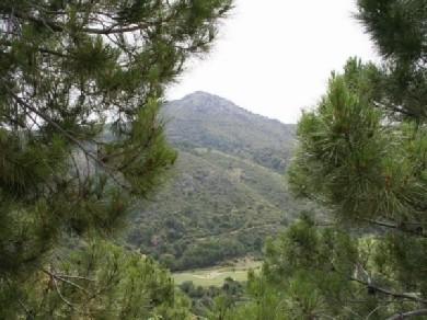 Terreno se vende en Benahavis, Costa del Sol