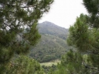 Terreno se vende en Benahavis, Costa del Sol - mejor precio | unprecio.es