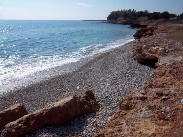 Bajo en Alcanar