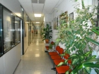 Business Centre offers offices for rent in Madrid – Spain - mejor precio | unprecio.es