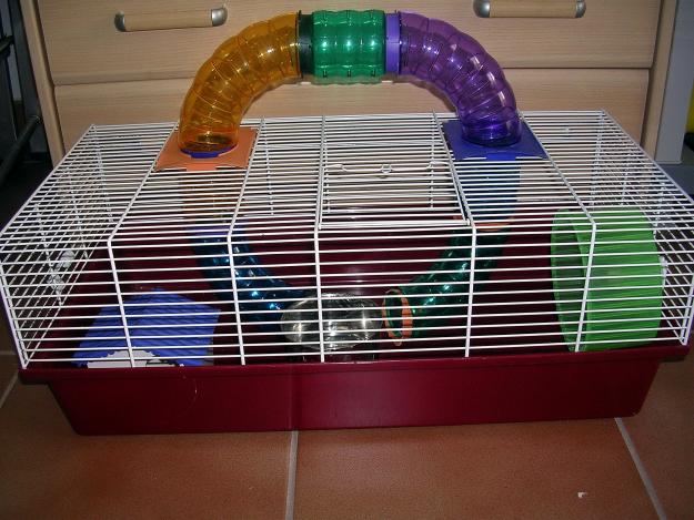 JAULA HAMSTER CON DOS HAMSTER DE ANGORA, MACHO Y HEMBRA
