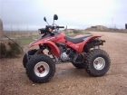 Se vende Honda trx 300 ex - mejor precio | unprecio.es