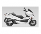 HONDA Forza ABS - mejor precio | unprecio.es