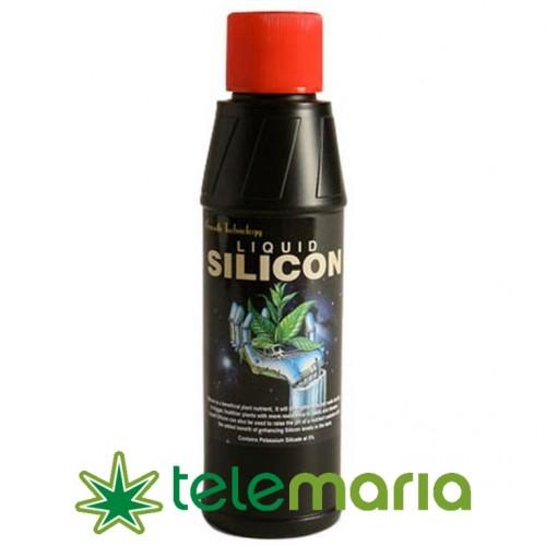 Liquid Silicon