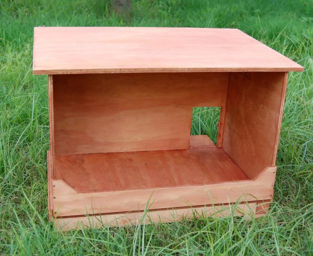 Cajon de gallina para cria