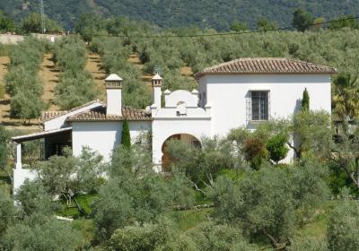 Andalusian Luxury Villa near Ronda
