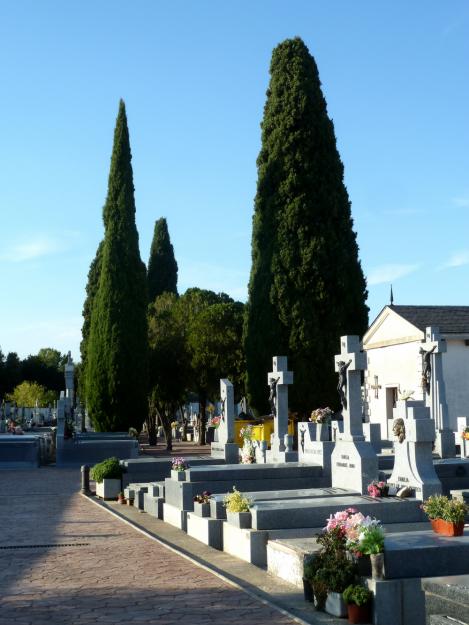 SEPULTURA PERPETUA 5 CUERPOS EN CEMENTERIO TALAMANCA DE JARAMA