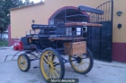 COCHE DE DOMA O CABALLOS 11 PLAZAS - mejor precio | unprecio.es