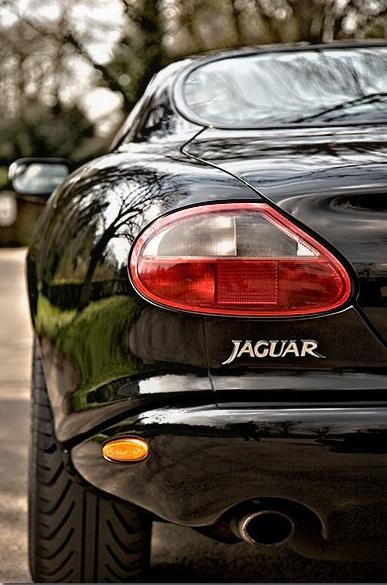 1998 JAGUAR Serie XK XK8 COUPE