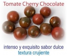 VENTA DE TOMATE CHERRY CHOCOLATE - mejor precio | unprecio.es
