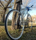 Bicicleta Orbea paseo 26" RETRO - mejor precio | unprecio.es
