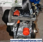 Motor Lombardini LDW502 , usado - mejor precio | unprecio.es