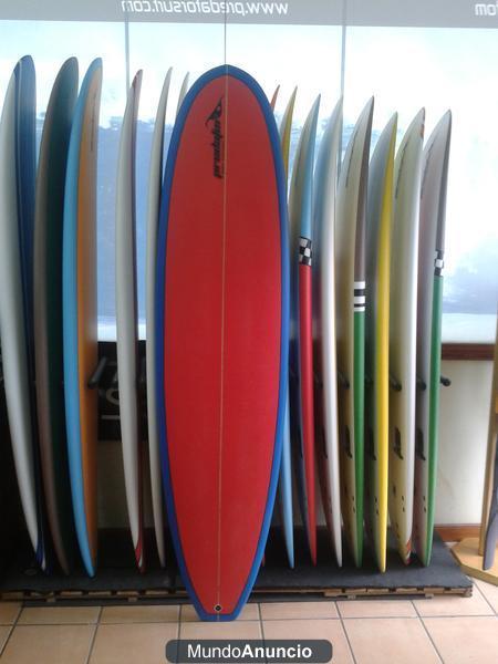 tabla surf evolutiva