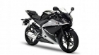 YAMAHA YZF R 125 - mejor precio | unprecio.es