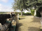 Casa en Pobla de Montornès, la - mejor precio | unprecio.es