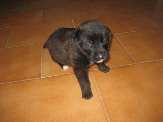 JACKI Y NUCA