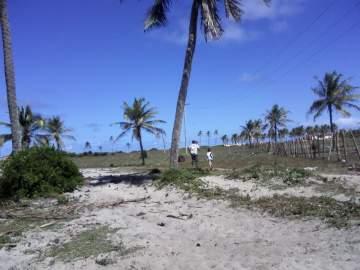 23000m2 de terreno en primera linea de playa