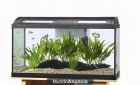 Acuario casi nuevo - mejor precio | unprecio.es
