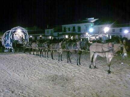 Alquiler de carros tradicionales para el rocio