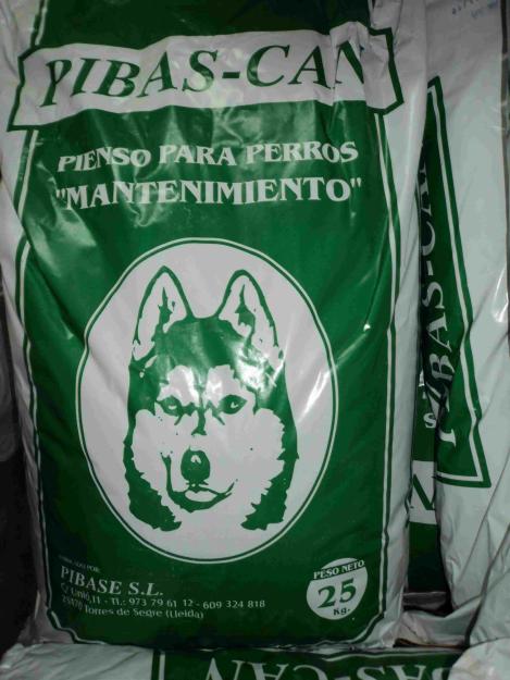 pienso para perros