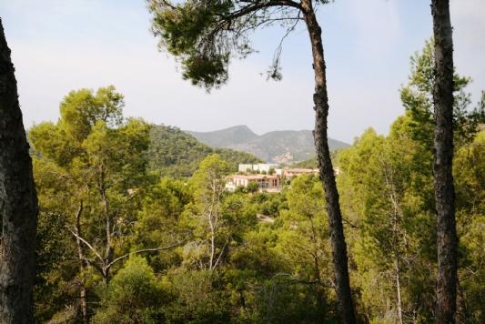 Terreno y Solares En Venta en Paguera, Mallorca