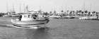 Barco de pesca - mejor precio | unprecio.es