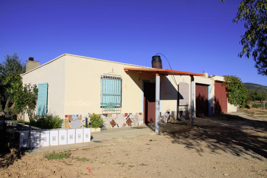 Terreno de secano con 300 olivos,130 almendros