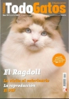 Gatitos ragdoll de calidad - mejor precio | unprecio.es