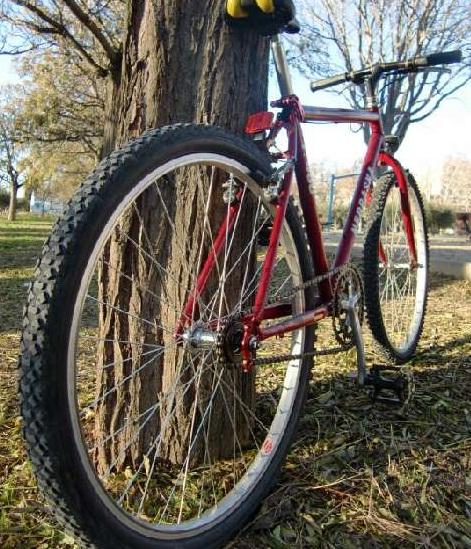 Bicicleta fixie